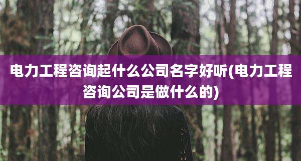 电力工程咨询起什么公司名字好听(电力工程咨询公司是做什么的)