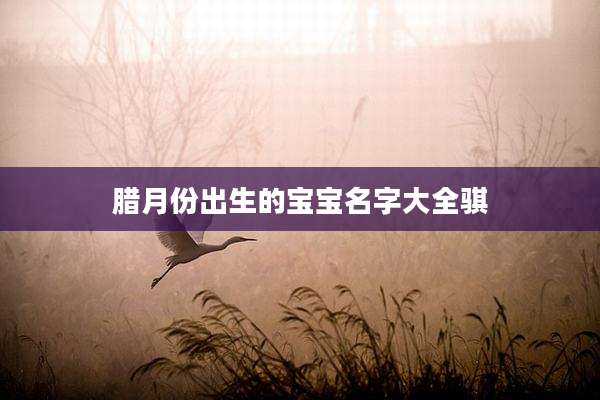 腊月份出生的宝宝名字大全骐