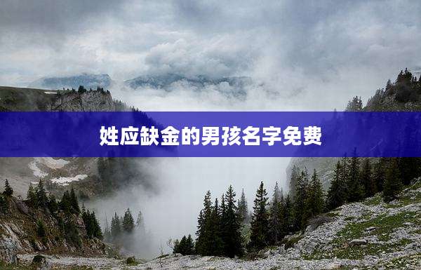 姓应缺金的男孩名字免费