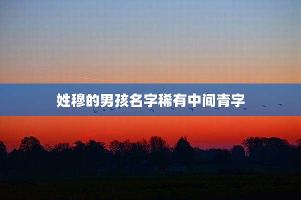 姓穆的男孩名字稀有中间青字