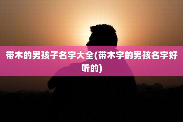带木的男孩子名字大全(带木字的男孩名字好听的)