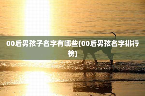 00后男孩子名字有哪些(00后男孩名字排行榜)