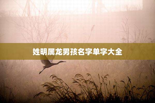 姓明属龙男孩名字单字大全