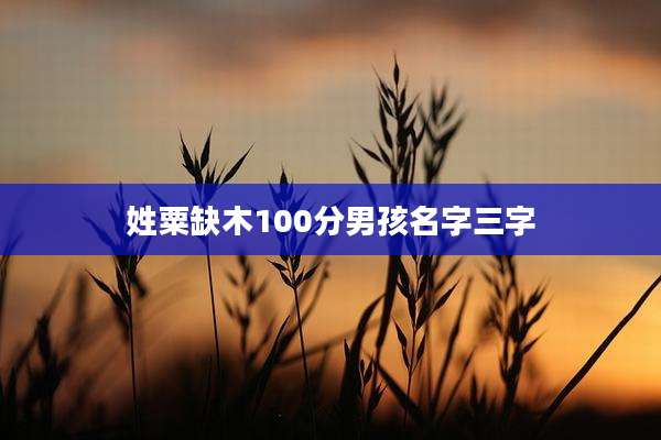 姓粟缺木100分男孩名字三字