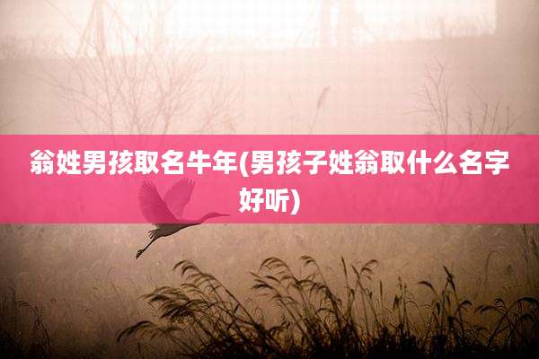 翁姓男孩取名牛年(男孩子姓翁取什么名字好听)