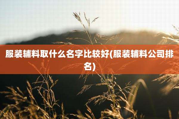 服装辅料取什么名字比较好(服装辅料公司排名)