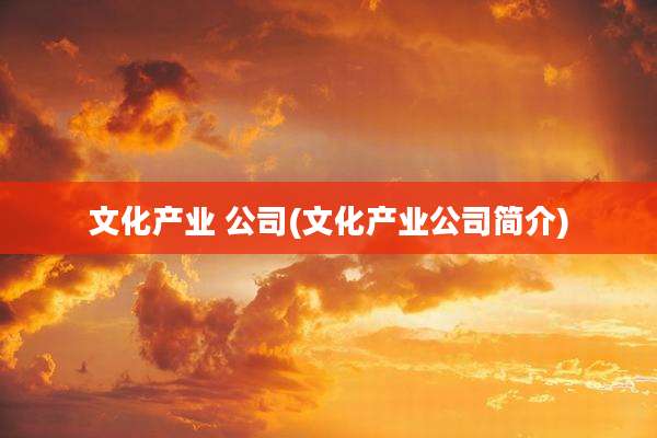文化产业 公司(文化产业公司简介)
