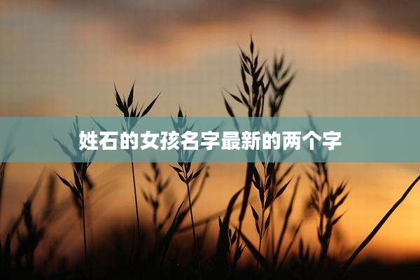 姓石的女孩名字最新的两个字