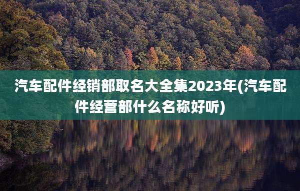 汽车配件经销部取名大全集2023年(汽车配件经营部什么名称好听)