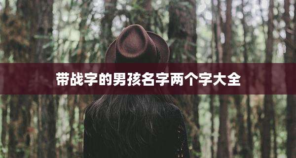 带战字的男孩名字两个字大全