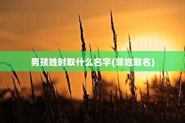男孩姓时取什么名字(菲姓取名)