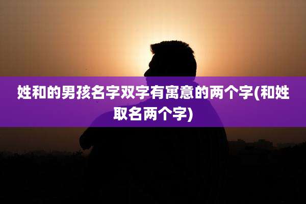 姓和的男孩名字双字有寓意的两个字(和姓取名两个字)