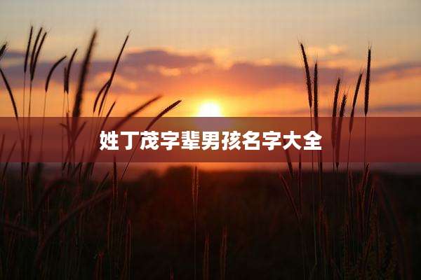 姓丁茂字辈男孩名字大全