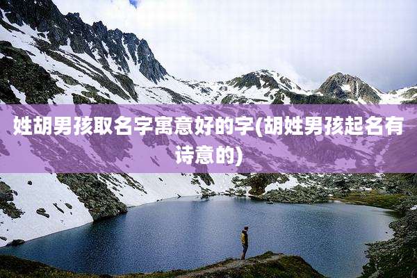 姓胡男孩取名字寓意好的字(胡姓男孩起名有诗意的)