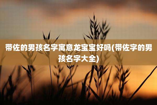 带佐的男孩名字寓意龙宝宝好吗(带佐字的男孩名字大全)