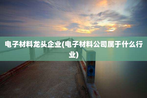 电子材料龙头企业(电子材料公司属于什么行业)