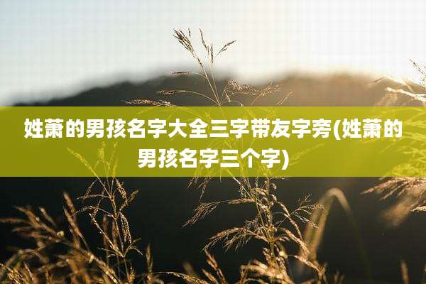 姓萧的男孩名字大全三字带友字旁(姓萧的男孩名字三个字)