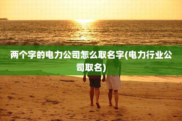 两个字的电力公司怎么取名字(电力行业公司取名)