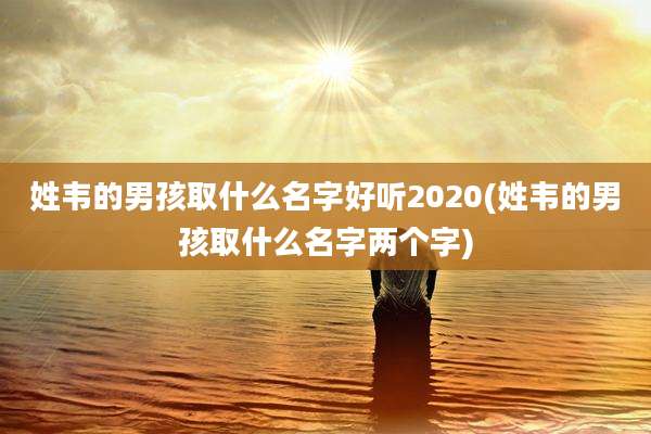 姓韦的男孩取什么名字好听2020(姓韦的男孩取什么名字两个字)
