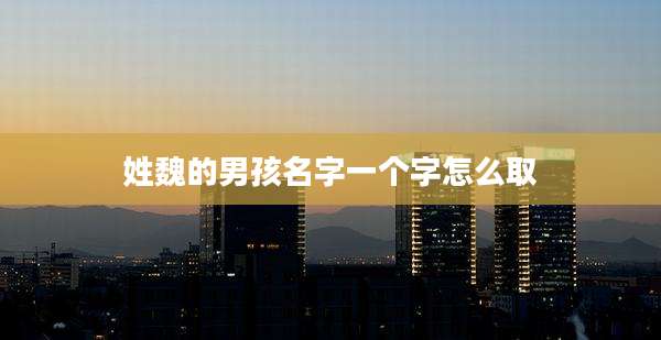 姓魏的男孩名字一个字怎么取