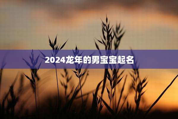 2024龙年的男宝宝起名