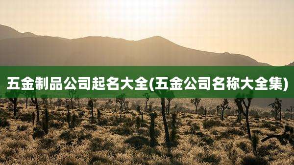 五金制品公司起名大全(五金公司名称大全集)