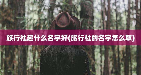 旅行社起什么名字好(旅行社的名字怎么取)