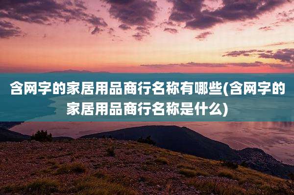含网字的家居用品商行名称有哪些(含网字的家居用品商行名称是什么)