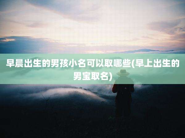 早晨出生的男孩小名可以取哪些(早上出生的男宝取名)