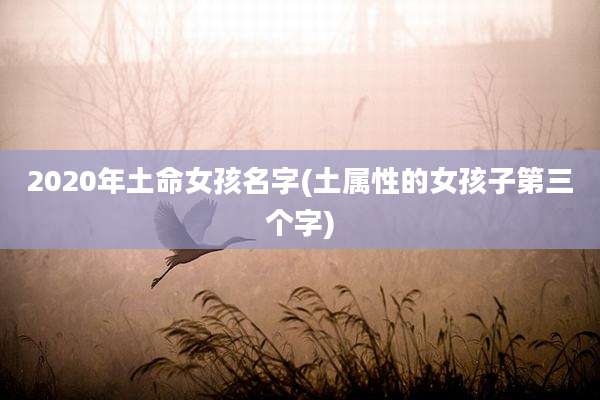 2020年土命女孩名字(土属性的女孩子第三个字)