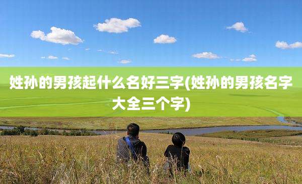 姓孙的男孩起什么名好三字(姓孙的男孩名字大全三个字)