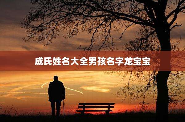 成氏姓名大全男孩名字龙宝宝