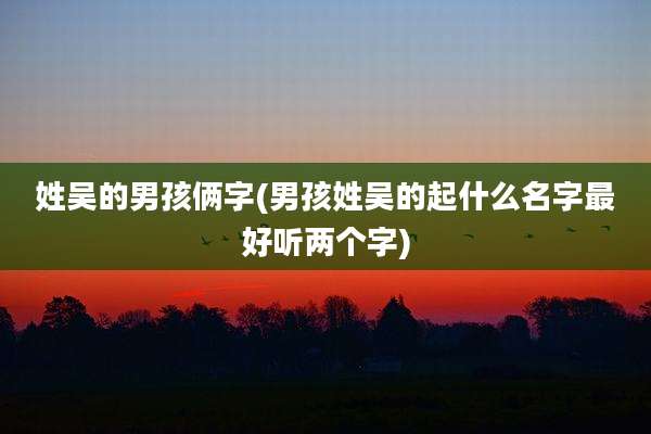 姓吴的男孩俩字(男孩姓吴的起什么名字最好听两个字)