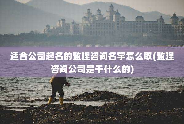 适合公司起名的监理咨询名字怎么取(监理咨询公司是干什么的)