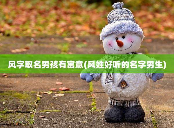 风字取名男孩有寓意(风姓好听的名字男生)