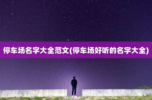 停车场名字大全范文(停车场好听的名字大全)