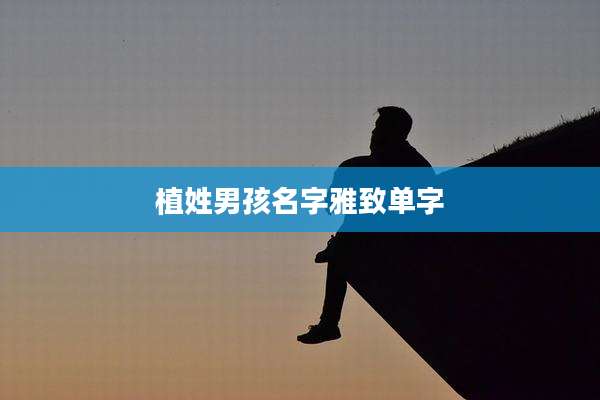 植姓男孩名字雅致单字