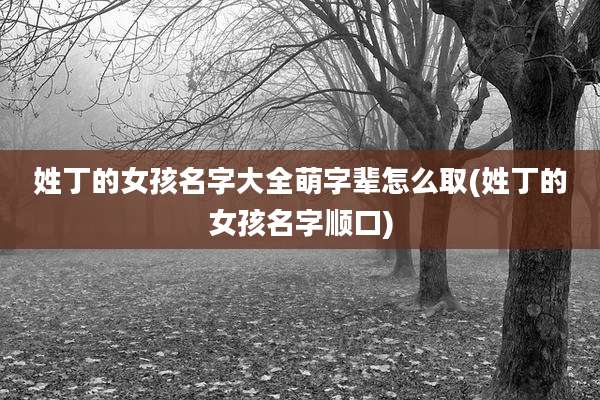 姓丁的女孩名字大全萌字辈怎么取(姓丁的女孩名字顺口)