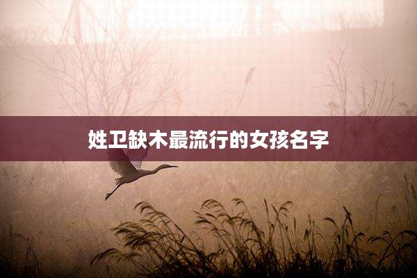 姓卫缺木最流行的女孩名字