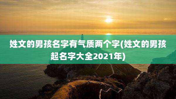 姓文的男孩名字有气质两个字(姓文的男孩起名字大全2021年)