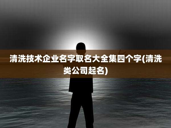 清洗技术企业名字取名大全集四个字(清洗类公司起名)