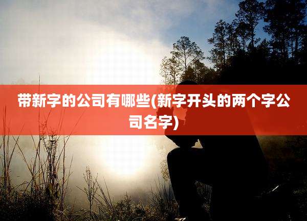 带新字的公司有哪些(新字开头的两个字公司名字)