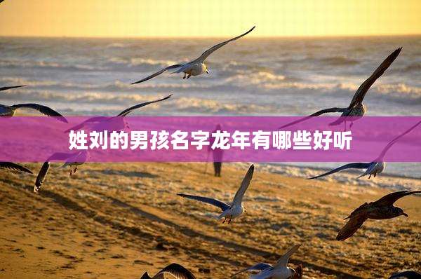 姓刘的男孩名字龙年有哪些好听