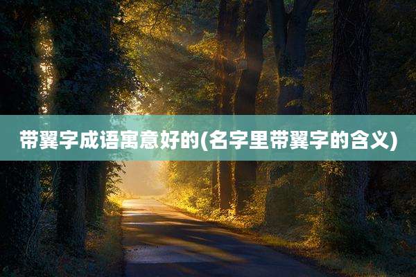 带翼字成语寓意好的(名字里带翼字的含义)