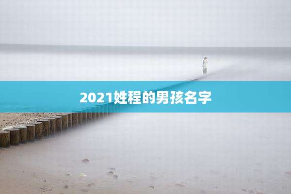 2021姓程的男孩名字