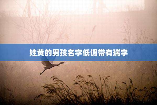 姓黄的男孩名字低调带有瑞字