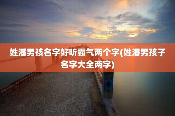 姓潘男孩名字好听霸气两个字(姓潘男孩子名字大全两字)