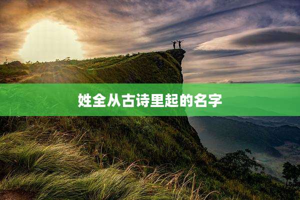 姓全从古诗里起的名字