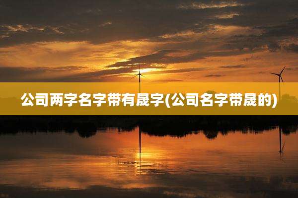 公司两字名字带有晟字(公司名字带晟的)