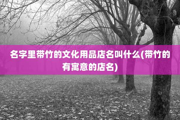 名字里带竹的文化用品店名叫什么(带竹的有寓意的店名)